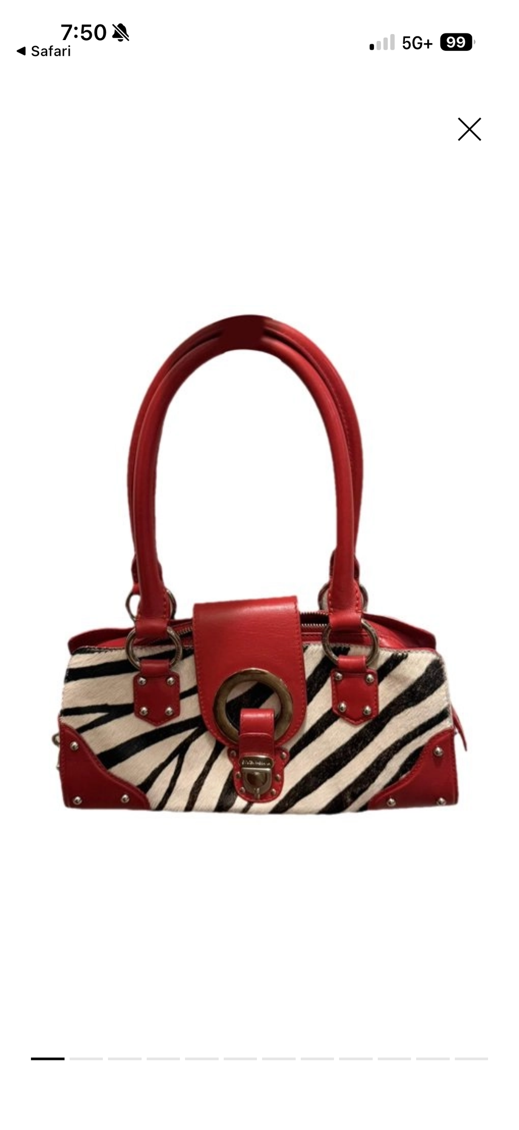 Dolce & Gabbana zebra pony hair handbag
